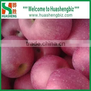 2016 Freshest Crop Fresh Fuji Apple thumbnail-2
