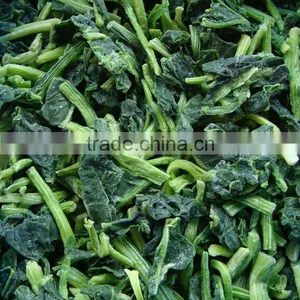 IQF Fresh Spinach thumbnail-5