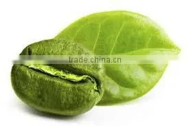 Green Coffee Beans From Ethiopia thumbnail-1