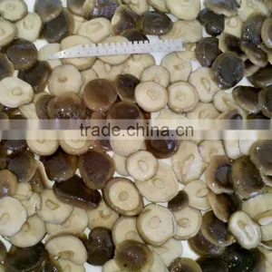 2016 Crop Shiitake Mushroom in Brine thumbnail-1