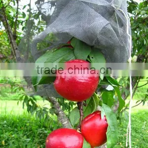 Heavy Duty Anti Predator Net/Knitted Anti Bird Netting/Fruit Cage Netting thumbnail-1