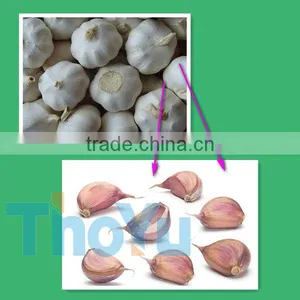 Hot Selling Garlic Separator/garlic Cloves Breaking Machine thumbnail-1