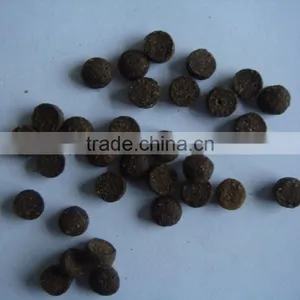 Pet Food Extruder thumbnail-4
