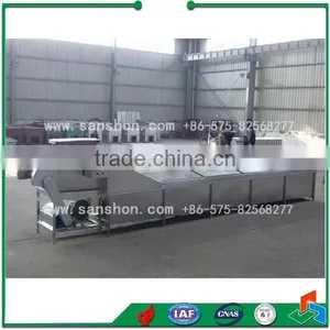 Fruit&vegetable Chain Type Blanching Machine thumbnail-1