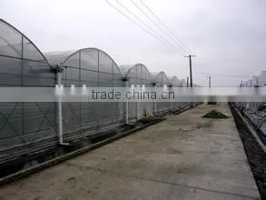 BLD Tunnel Greenhouse for Sale Simple Tunnel po Film Greenhouse thumbnail-2