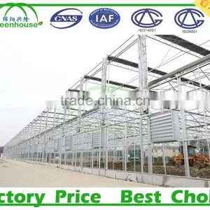 China Supplier Galvanized Round Steel Pipe For Greenhouse Frame thumbnail-1