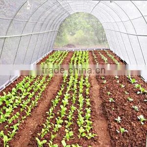 Spunbond Pp Agriculture Nonwoven Fabric Roll For Seeding Bag thumbnail-1