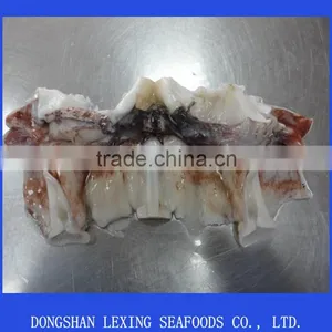 Frozen Giant Squid Neck thumbnail-1