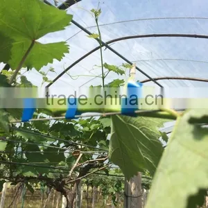 Tape Binder Tape Tool no Scrap,hand Tying Machine,wire Galvanized, Wireless Vineyard, Vineyard thumbnail-3