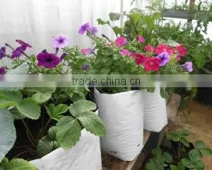 Grow Bag thumbnail-1