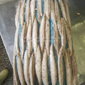 Precooked Bonito Tuna Loin Auxis Thazard thumbnail-3