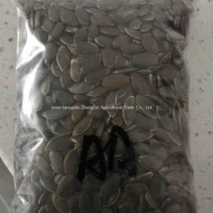 GWS Pumpkin Seed Kernels thumbnail-2