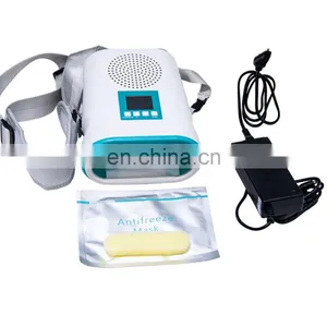 Mini Cryolipolysis Frozen Weight Loss Beauty Equipment for Home Use thumbnail-4
