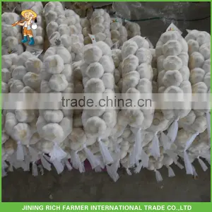 Snow White Garlic 5.0CM, 5.5CM, 6.0CM, 6.5CM Wholesale Garlic thumbnail-1