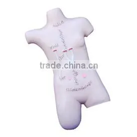 Surgical Suture and Bandaging Model thumbnail-1