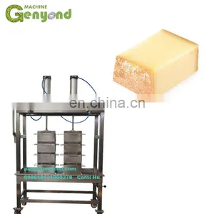 1000L/H Milk Input Cheese Making Machine Mozzarella thumbnail-1