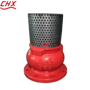 JIS/ANSI/DIN Foot Valve Cast Iron GGG50 Ductile Iron Flange Stainless Steel Filter Strainer Water Pump thumbnail-2