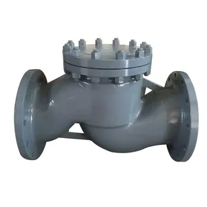 High Quality Lifting Flange Check Valve thumbnail-3