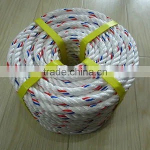 PP Danline Rope For Indonesia and Malaysia Market thumbnail-1