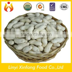 Chinese Best Selling Products New Wholesale Peanuts in Shell thumbnail-1