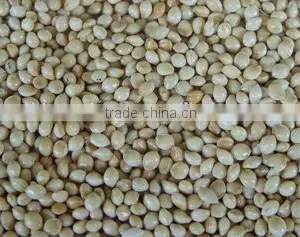 White Millet Bird Food thumbnail-1