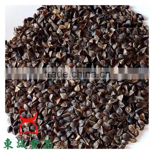 Buckwheat Common Cultivation Type Brown Color thumbnail-4