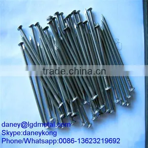 Common Nail/nail Factory CN-008D thumbnail-1
