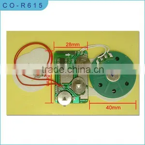 Sound Module for Greeting Cards/music Module/recording Module/USB Modules/motion Sensor Module/cheap Sound Module for Cards thumbnail-1