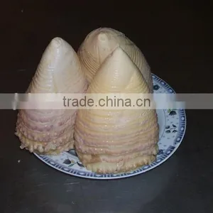 2016 New Crop Canned Bamboo Shoot 2950gram thumbnail-2