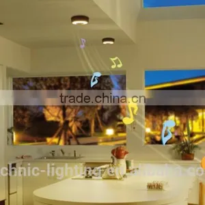 Sonic LED Ceiling Light,bluetooth Controlling Led Sonic Lamps,led Down Lighting Fixture for Children's Room thumbnail-2
