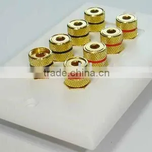 SPEAKER WALL PLATE thumbnail-1