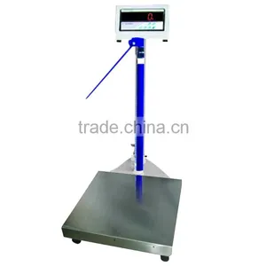 Adult Scales thumbnail-1
