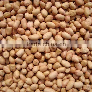 2015 Crop Round Shape Peanut Kernels BAISHA thumbnail-1