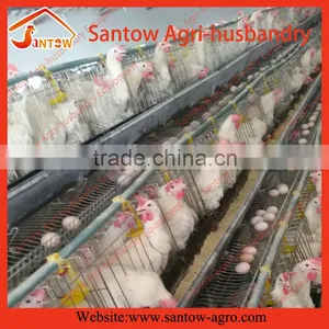 Automatic Chicken Egg Layer Cages Hen House Chicken Coop for Nigeria Farm thumbnail-6