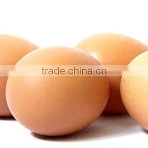 BROWN CHICKEN EGGS thumbnail-1