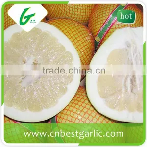 Fresh Sweet Honey Pomelo From China thumbnail-5