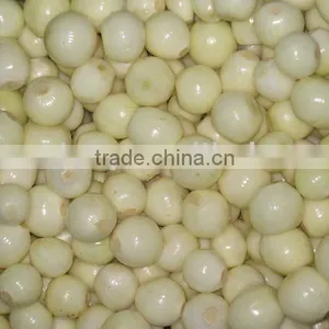 Fresh Onion thumbnail-1