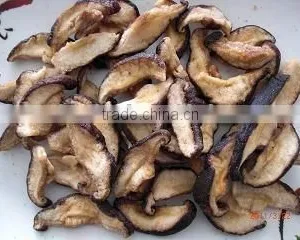Vacuum Fried Shiitake Chips thumbnail-4