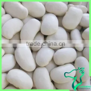 Large White Kidney Beans 2016 Crop High Quality Large Type White Kidney Beans thumbnail-2