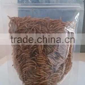 Protein Dried Insects thumbnail-5