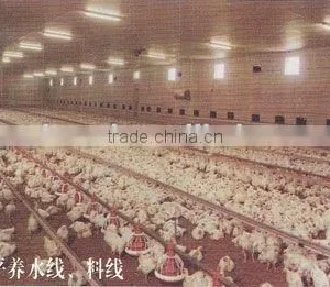 Floor Broiler Raising System thumbnail-1