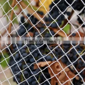 Agricultural Bird Netting Bird Trap thumbnail-1