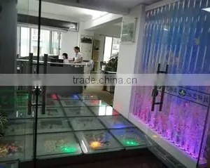 Guangzhou Water Art Fountain Irrigation Garden Co., Ltd. company overview - view 2 thumbnail
