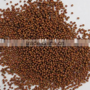Fish Food for Tropical Fish thumbnail-1