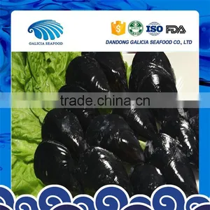 High Quality Frozen Raw Mussels in Shell thumbnail-1