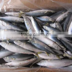 Frozen Mackerel (8-9pcs/kg) thumbnail-1
