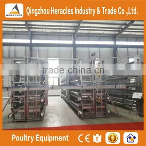 Trade Assurance Automatic Manure Cleaning Layer Polultry Farm Equipment thumbnail-4