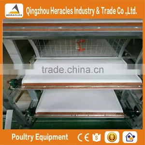 China Trade Assurance Chicken Bird Cage for Sale thumbnail-6
