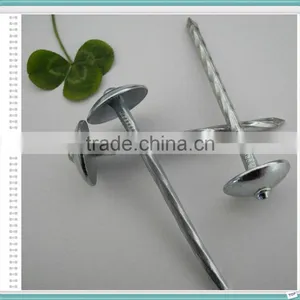 Roofing Nail/Galvanized Roofing Nail/Umbrella Head Roofing Nail thumbnail-3