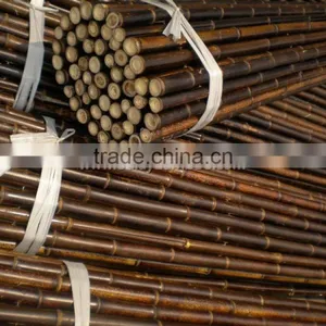 Natural Clean Dry Straight Cheap Treated Black Bamboo Poles thumbnail-2